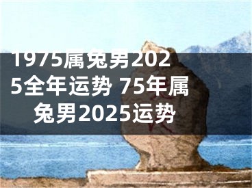 1975属兔男2025全年运势 75年属兔男2025运势
