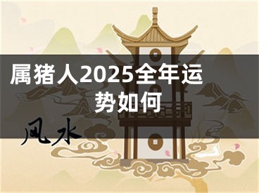 属猪人2025全年运势如何