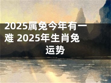 2025属兔今年有一难 2025年生肖兔运势