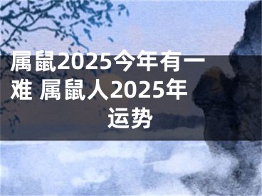属鼠2025今年有一难 属鼠人2025年运势