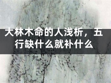 大林木命的人浅析，五行缺什么就补什么