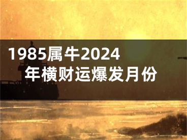 1985属牛2024年横财运爆发月份