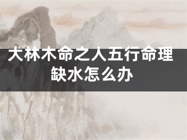 大林木命之人五行命理缺水怎么办