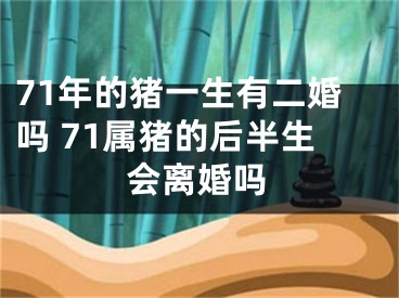 71年的猪一生有二婚吗 71属猪的后半生会离婚吗