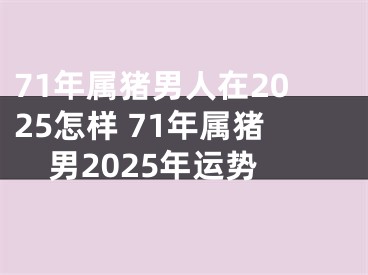 71年属猪男人在2025怎样 71年属猪男2025年运势