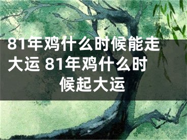 81年鸡什么时候能走大运 81年鸡什么时候起大运