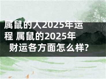 属鼠的人2025年运程 属鼠的2025年财运各方面怎么样?
