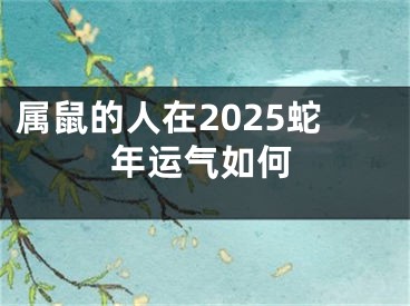 属鼠的人在2025蛇年运气如何