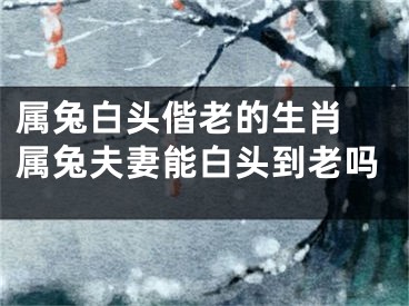 属兔白头偕老的生肖 属兔夫妻能白头到老吗