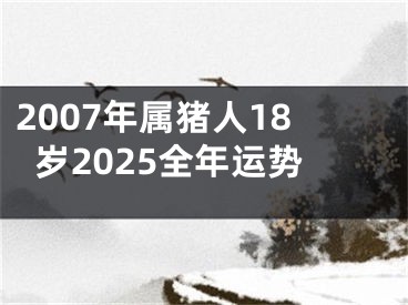 2007年属猪人18岁2025全年运势