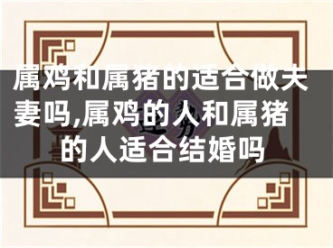 属鸡和属猪的适合做夫妻吗,属鸡的人和属猪的人适合结婚吗