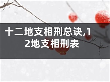 十二地支相刑总诀,12地支相刑表