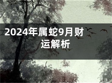 2024年属蛇9月财运解析