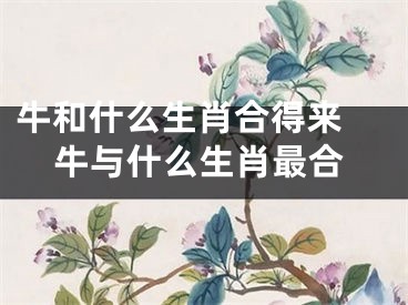 牛和什么生肖合得来 牛与什么生肖最合