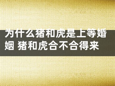 为什么猪和虎是上等婚姻 猪和虎合不合得来