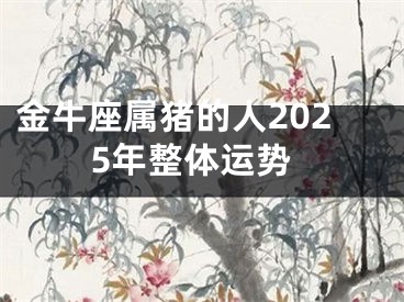 金牛座属猪的人2025年整体运势