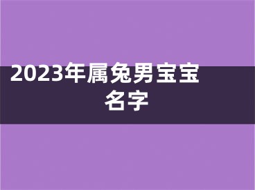 2023年属兔男宝宝名字