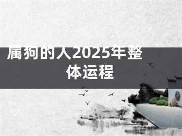 属狗的人2025年整体运程