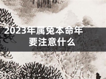 2023年属兔本命年要注意什么