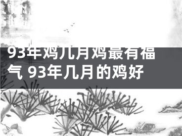 93年鸡几月鸡最有福气 93年几月的鸡好