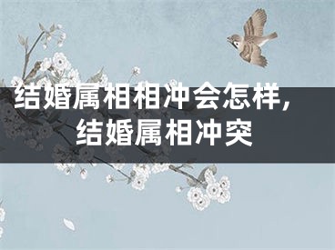 结婚属相相冲会怎样,结婚属相冲突