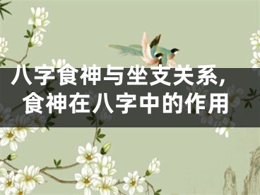 八字食神与坐支关系,食神在八字中的作用
