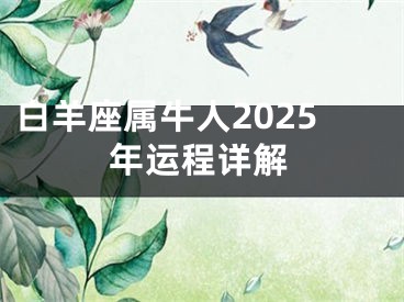 白羊座属牛人2025年运程详解