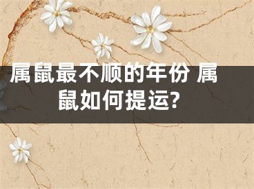 属鼠最不顺的年份 属鼠如何提运?