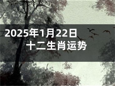 2025年1月22日十二生肖运势