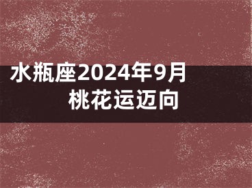 水瓶座2024年9月桃花运迈向