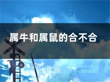 属牛和属鼠的合不合