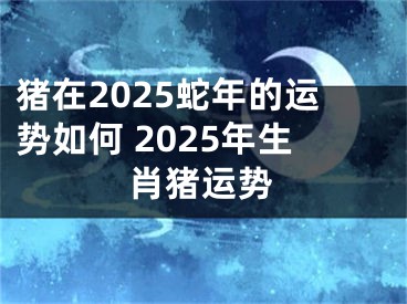 猪在2025蛇年的运势如何 2025年生肖猪运势