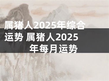 属猪人2025年综合运势 属猪人2025年每月运势