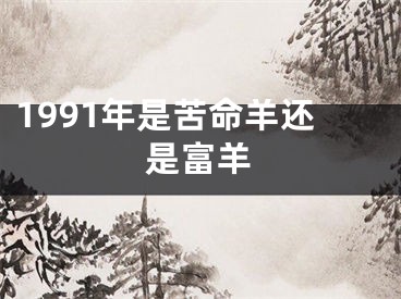 1991年是苦命羊还是富羊