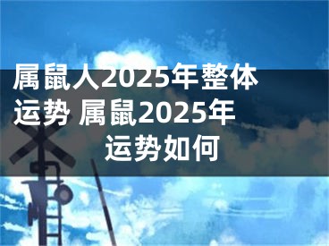属鼠人2025年整体运势 属鼠2025年运势如何