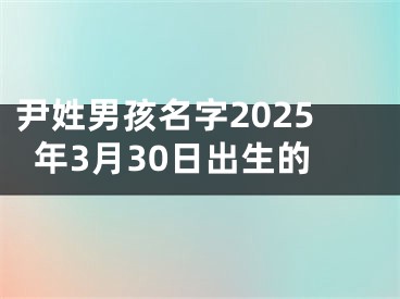 尹姓男孩名字2025年3月30日出生的