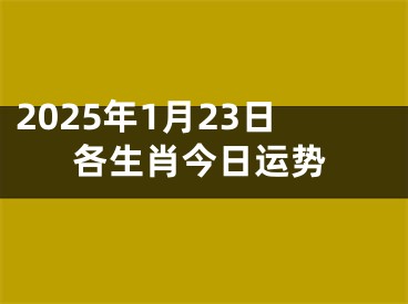 2025年1月23日各生肖今日运势