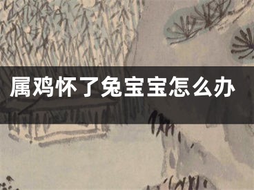 属鸡怀了兔宝宝怎么办