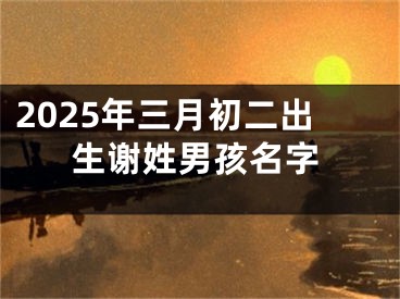 2025年三月初二出生谢姓男孩名字