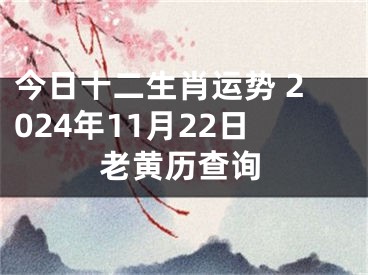 今日十二生肖运势 2024年11月22日老黄历查询
