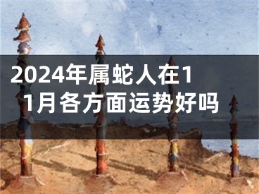 2024年属蛇人在11月各方面运势好吗
