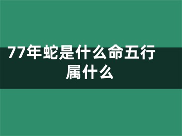 77年蛇是什么命五行属什么