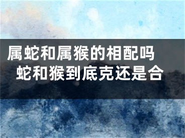 属蛇和属猴的相配吗 蛇和猴到底克还是合