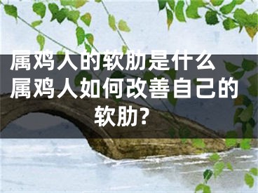 属鸡人的软肋是什么 属鸡人如何改善自己的软肋?