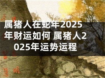 属猪人在蛇年2025年财运如何 属猪人2025年运势运程