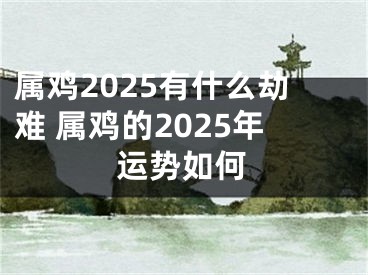 属鸡2025有什么劫难 属鸡的2025年运势如何