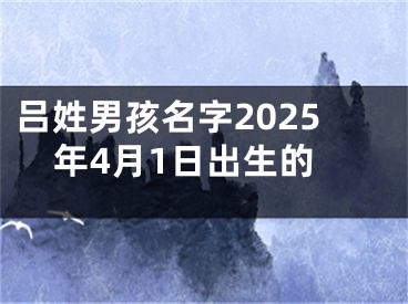 吕姓男孩名字2025年4月1日出生的