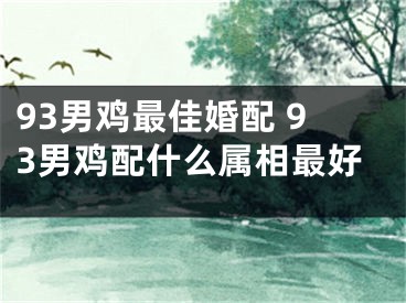 93男鸡最佳婚配 93男鸡配什么属相最好