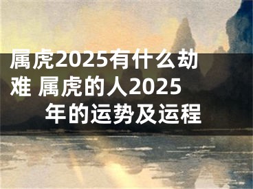 属虎2025有什么劫难 属虎的人2025年的运势及运程