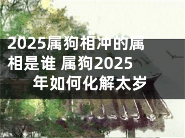 2025属狗相冲的属相是谁 属狗2025年如何化解太岁